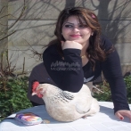 Cheba nabila sur yala.fm